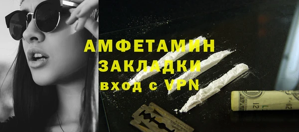 PSILOCYBIN Галич