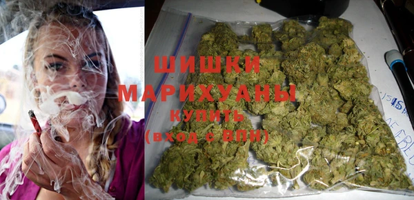 ГАЛЛЮЦИНОГЕННЫЕ ГРИБЫ Гатчина