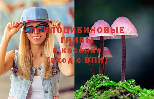 кокаин Белокуриха