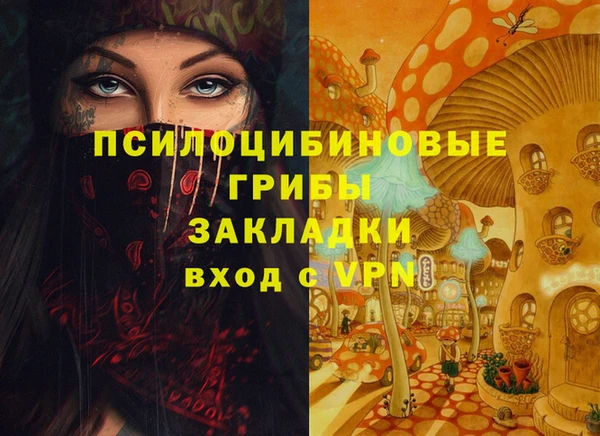 кокаин Белокуриха