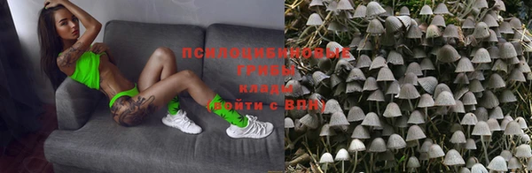 кокаин Белокуриха