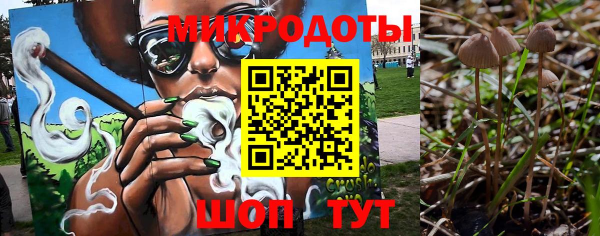 Галлюциногенные грибы ЛСД Гудермес