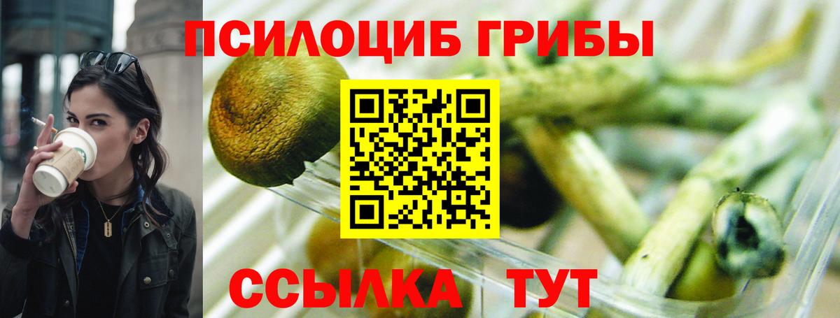Галлюциногенные грибы Psilocybe  Псилоцибиновые грибы ЛСД  Вход с VPN  Гудермес 
